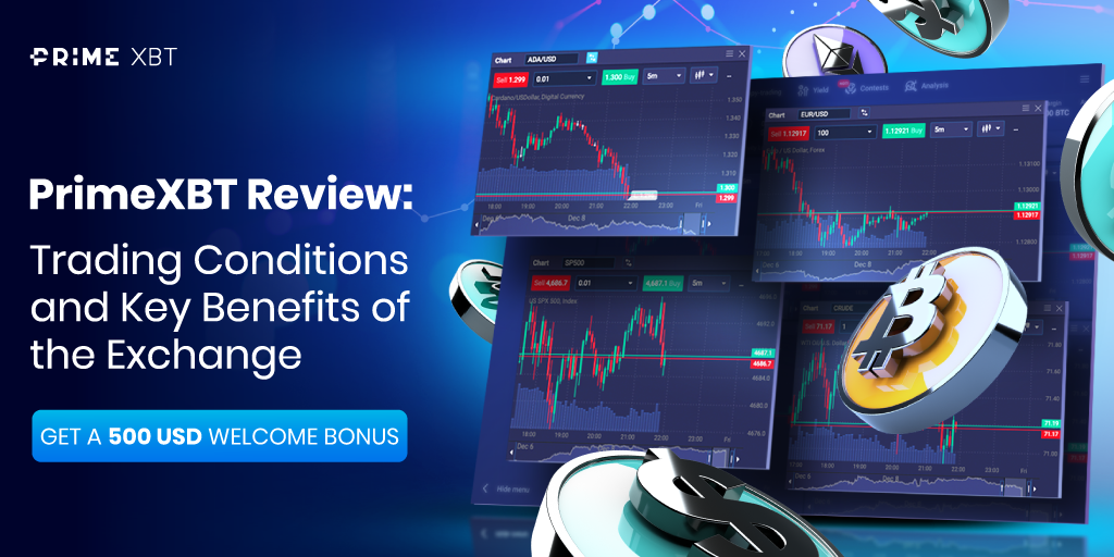 Maximize Your Trading Potential PrimeXBT Bonuses