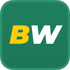 Comprehensive Guide to Funding Your Betwinner Account -617469249