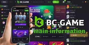 Download the BC App Your Gateway to Enhanced Digital Solutions