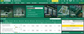 Exploring the BetWinner Platform A Comprehensive Guide -810125823