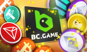 The Essential Guide to the BC Platform App Revolutionizing Your Digital Experience