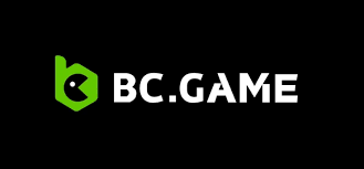 The Essential Guide to the BC Platform App Revolutionizing Your Digital Experience