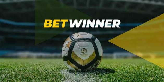 The Ultimate Guide to BetWinner Gambling Platform 884475614